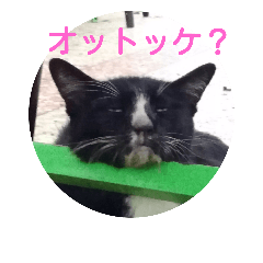 mame_20180926070017