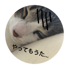 tamanyanchu