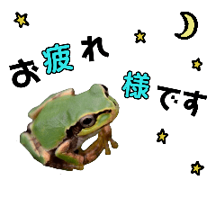 frog frog 2