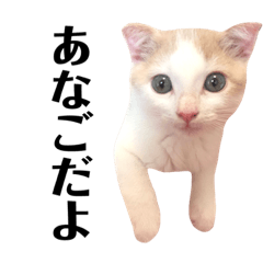 ANAGO CAT STAMP