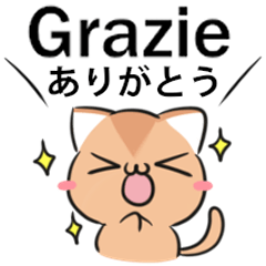 Cat & dog Italian ver