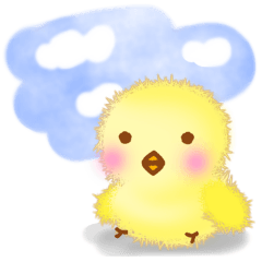 Soft and fluffy chick3