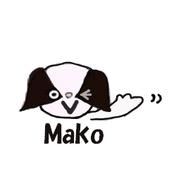 Mako-Chan in English.Is a Japanese Chin