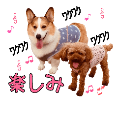 ベリル君とラピスちゃんスタンプ