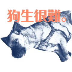ㄚ吉是我