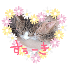 miyabi_20180927150541