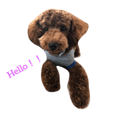pon_20180927211114