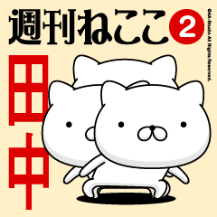 Move"TANAKA"name sticker feature 2