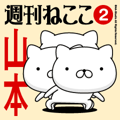 Move"YAMAMOTO"name sticker feature 2