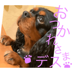 犬印