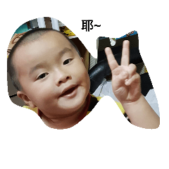 我們家都是寶