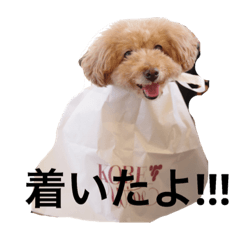 RIKA_20180928231922