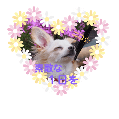 mimi!3