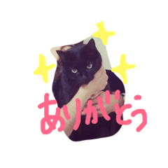 黒猫のんちゃんスタンプ by Rosinyan4