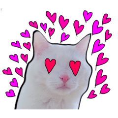 ハクのスタンプ第二弾 Line スタンプ Line Store ハクのスタンプ第二弾 Line スタンプ Line Store