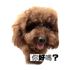 Lucas_20180928230617