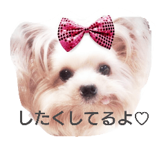 ERIKA_20180927072822