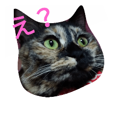 Akane_201809262120241