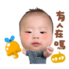 老牌寶寶初二日常 表情篇♥