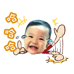 可愛四寶的日常生活