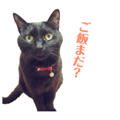 mu_20180929081344