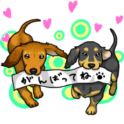 Animated Dachshund puppies