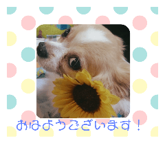 minami_20180930105146