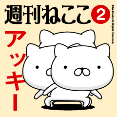 Move"AKKIY"name sticker feature 2