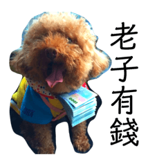 蛋捲生活日常(更新）