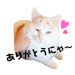 sanae_muumuumuumuu2018
