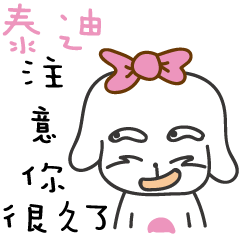 泰迪_注意你很久了喔!