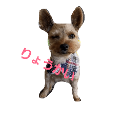 rei_20180930203637