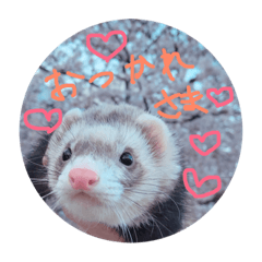 Chihiro_20180930123611