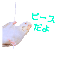 miyabi_20180930234655