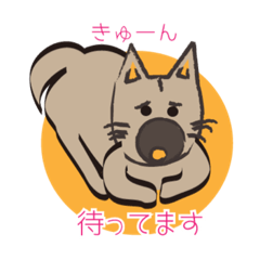 Yukiko_20180923215300