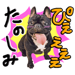 フレンチブルドッグココ Line スタンプ Line Store フレンチブルドッグココ Line スタンプ Line Store