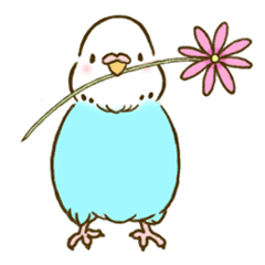 すこやかインコ2 Line スタンプ Line Store