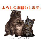 kamuna_20181003200850