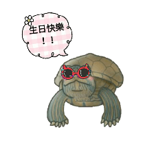 Turtle DA Chi-2