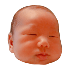 sotaro stamp!!