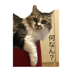 yun_20180926191803