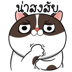 Jobu Variety mood cat – LINE stickers | LINE STORE