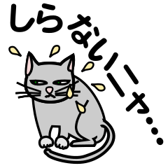 회색 고양이 애니메이션 스티커