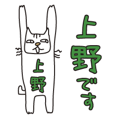 Only for Mr. Ueno Banzai Cat