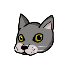 DIDI is-a-cat