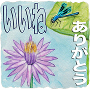 Lotus Flower (11J)