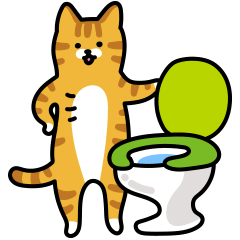 Cats and toilet