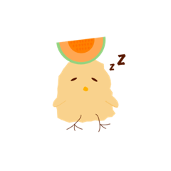 Melon chick