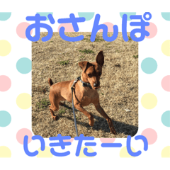 Miyabi_20180921234726