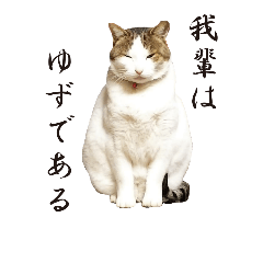 yuzuyuzucat